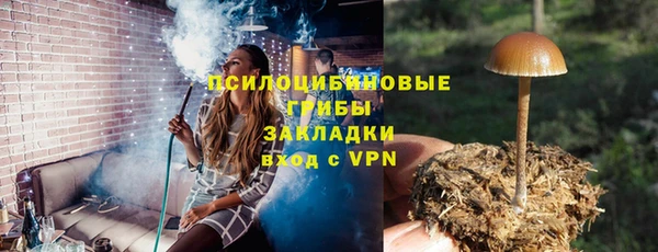 молекула духа Алексеевка