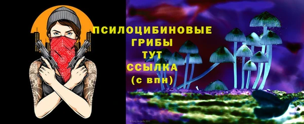 молекула духа Алексеевка