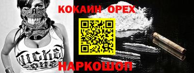гашик Шелехов