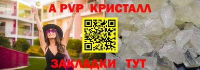 гашик Шелехов