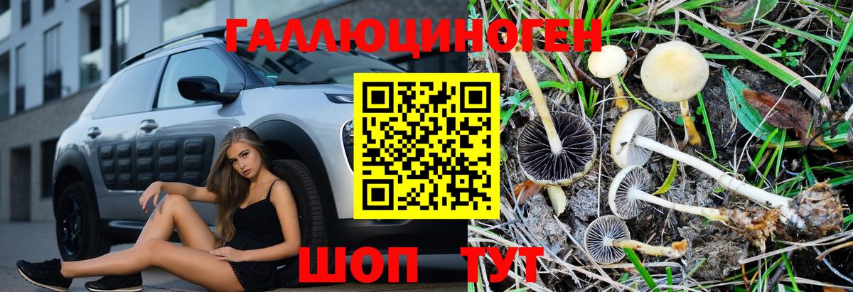 Усть-Лабинск  что такое   Вход с VPN  Псилоцибиновые грибы Magic Shrooms 