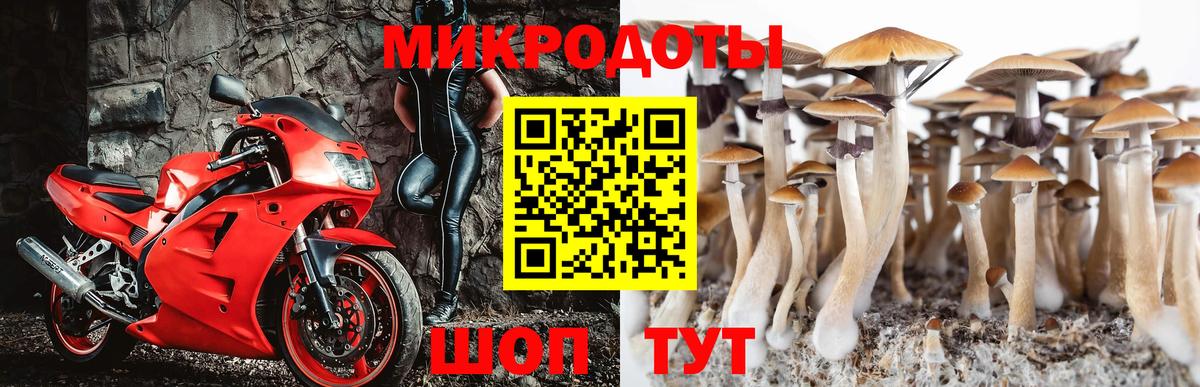 Галлюциногенные грибы мухоморы Усть-Лабинск